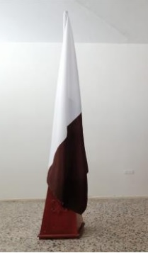 Bandera Institucional